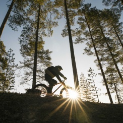 Multi-activités été