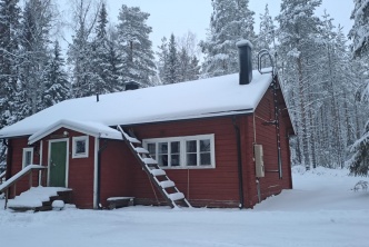 Immersion au coeur de la forêt boréale